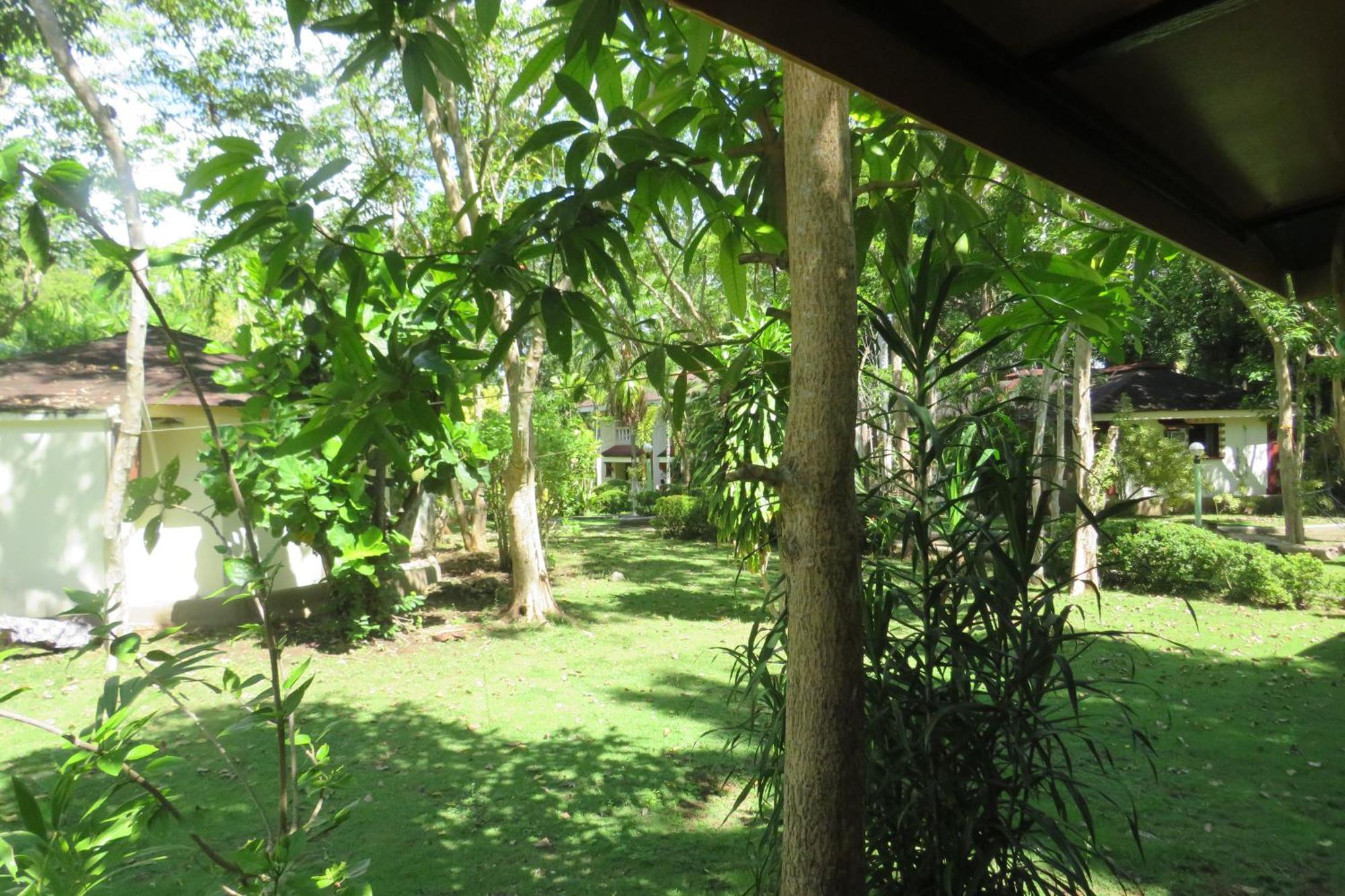 Alonaland Resort Panglao Exteriér fotografie